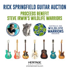 Rick Springfield Guitar Auction