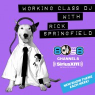 Working Class DJ with Rick Springfield