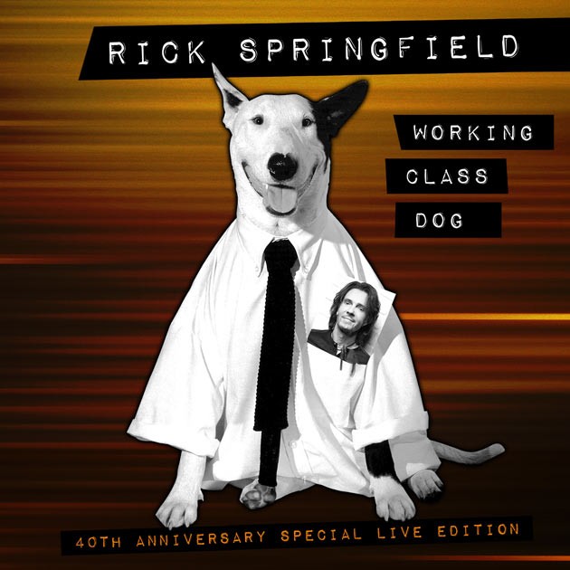 Working Class Dog 40th Anniversary Special Live Edition CD/DVD