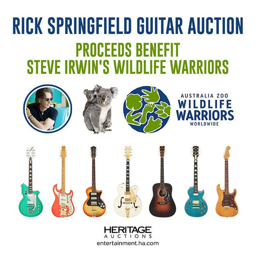 Guitar Auction Benefit